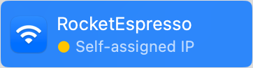 Mac Self-assigned IP